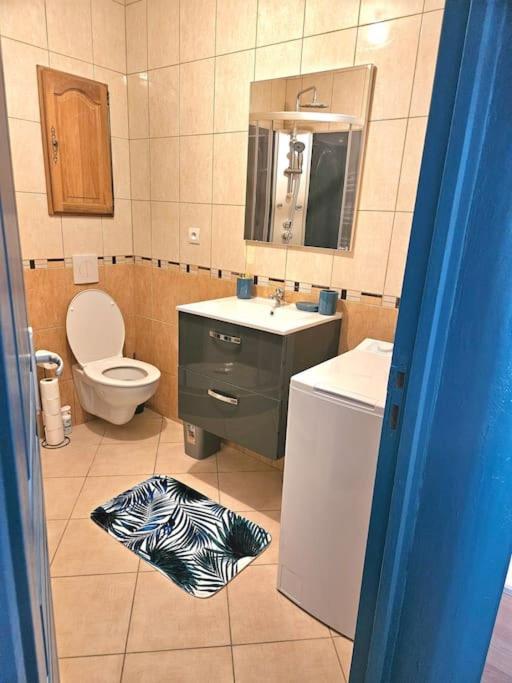 Spacieux Et Charmant Appartement De 47 M2 Charleville-Mézières Buitenkant foto